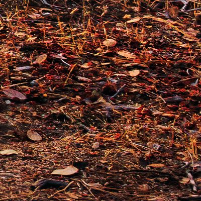 Papier peint panoramique sur intissée de Komar - Stefan Hefele Yosemites Secret - Taille: 450 x 280 cm