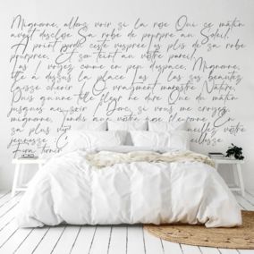 Papier Peint Panoramique Texte Noir - 99DECO - L432xH270cm