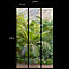 Papier peint panoramique vinyle intissé Reality Iv Lutece mat et satiné serre tropicale vert, feuilles l.84 x l.53 cm