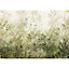Papier peint panoramique Wilderness 400x280cm