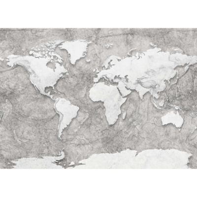 Papier peint panoramique World Relief 350 x 250 cm Komar