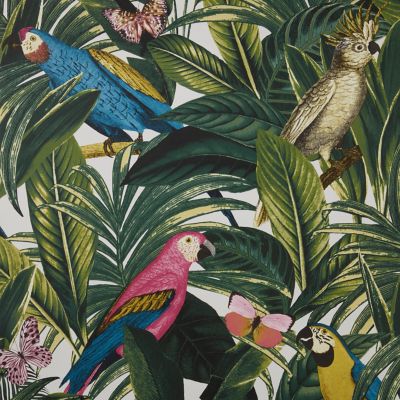 Papier peint papier duplex Cleome multicolore