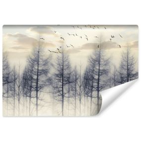 Papier Peint Photo FORET Brouillard Nuages 3D Pour Salon 315cm x 210cm