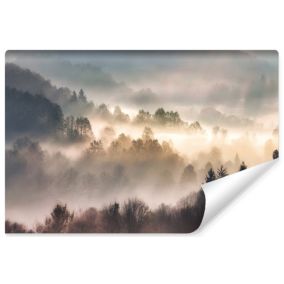 Papier Peint Photo FORET Brouillard Paysage 3D Pour Chambre 300cm x 210cm