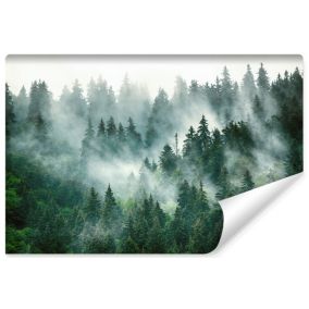 Papier Peint Photo FORET Dans Le Brouillard 3D Pour Salon 180cm x 120cm