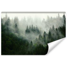 Papier Peint Photo FORET Paysage Brumeuse Pour La Chambre 270cm x 180cm