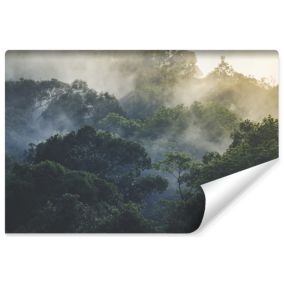 Papier Peint Photo FORET Tropicale Brouillard Pour Chambre 270cm x 180cm