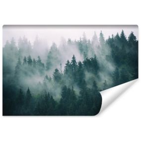 Papier Peint Photo Intisse FORET Brumeuse Nature 3D Pour Salon 180cm x 120cm