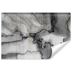 Papier Peint Photo MARBRE Gris Pour Chambre 270cm x 180cm