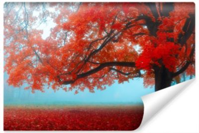 Papier Peint Photo PAYSAGE Forestier Pour Salon 300cm x 210cm