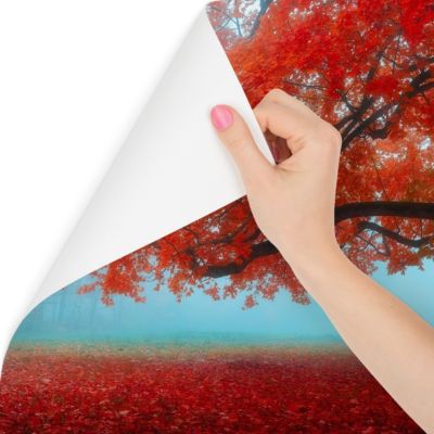 Papier Peint Photo PAYSAGE Forestier Pour Salon 300cm x 210cm