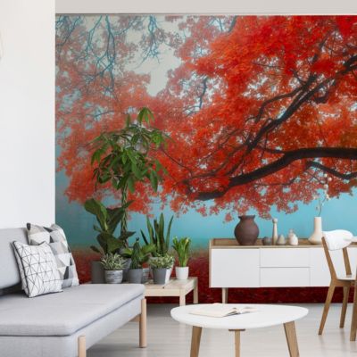 Papier Peint Photo PAYSAGE Forestier Pour Salon 300cm x 210cm