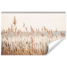 Papier Peint Photo Pour Chambre CANNE Plantes Nature 3D 135cm x 90cm