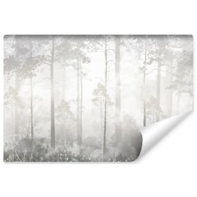 Papier Peint Photo Pour Chambre FORET Arbres Vintage Style 368cm x 254cm