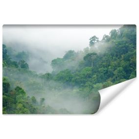 Papier Peint Photo Pour Chambre FORET Tropicale Brouillard 135cm x 90cm