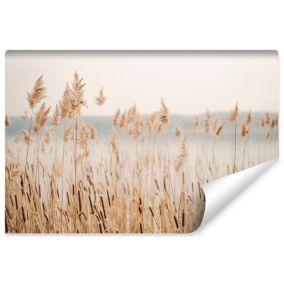 Papier Peint Photo Pour Chambre PLANTES Lac Nature 135cm x 90cm