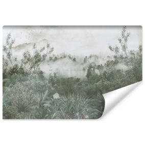 Papier Peint Photo Pour Salon PLANTES Brouillard Nature 135cm x 90cm