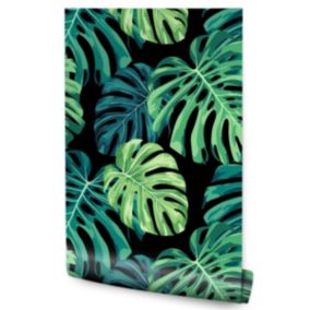 Papier Peint Pour La Chambre FEUILLES De Monstera Plantes Tropicales