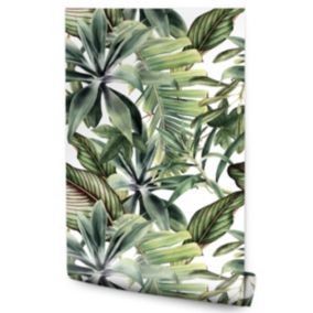 Papier Peint Pour La Chambre FEUILLES Monstera Plantes Exotiques