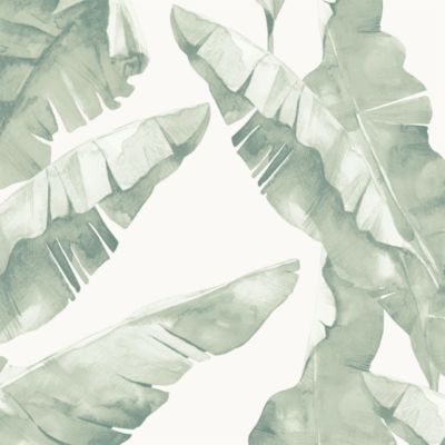 Papier peint pré-encollé vinyle intissé feuillage Easy Roll GoodHome Halton vert l.53 x H.1005 cm