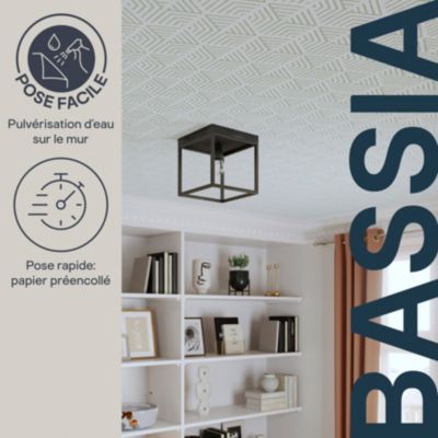 Papier peint pré-encollé vinyle intissé géométrique Easy Roll GoodHome Bassia vert l.53 x H.1005 cm