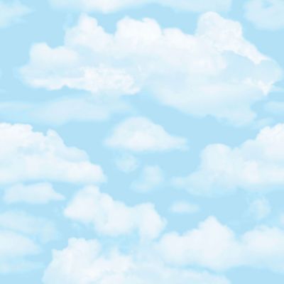 Papier peint support papier Nuages L.1005 x l.52cm bleu