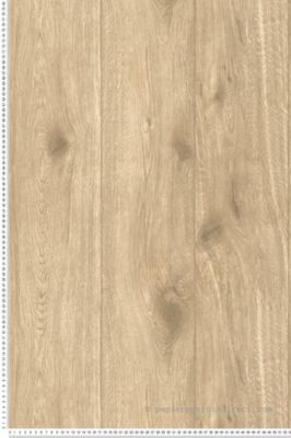 Papier peint Trompe l'oeil Beige Wood'N Stone 2, Elements 2 A.S. Création