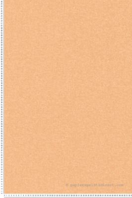 Papier peint Uni Orange Metropolitan Stories 3 Travel Styles A.S. Création