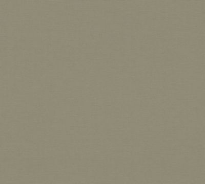 Papier peint vinyle grainé sur intissé effet mat uni Antigua As Creation L.1005 x l. 53 cm vert