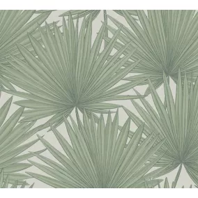 Papier peint vinyle grainé sur intissé effet mat végétal Antigua As Creation L.1005 x l. 53 cm vert