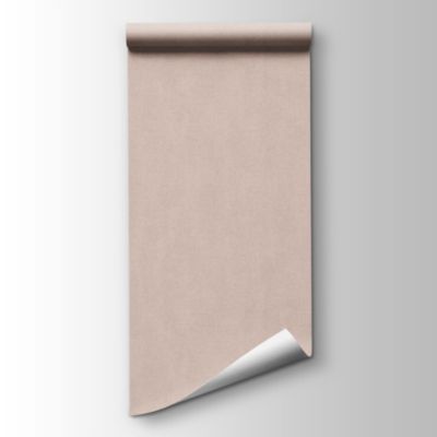 Papier peint vinyle grainé sur intissé uni tweed beige L.1001 x l.53cm Ugèpa
