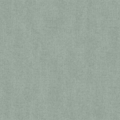 Papier peint vinyle grainé sur intissé uni tweed vert L.1001 x l.53cm Ugèpa