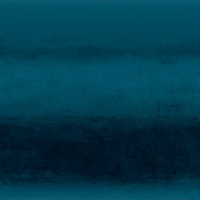 Papier peint Vinyle intissé GoodHome Arugam bleu foncé l.53 x H.1000 cm
