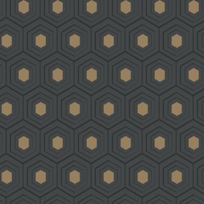 Papier peint Vinyle Intissé GoodHome Draba noir