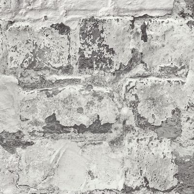Papier peint Vinyle Intissé GoodHome Epid gris et blanc