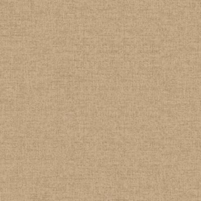 Papier peint vinyle intissé Pufos GoodHome uni texturé beige L. 10,05m x l. 0,53m