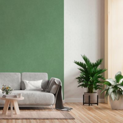 Papier peint vinyle intissé uni aspect tissu vert L.1005 x l.53cm GoodHome, Mythe