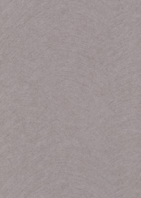 Papier peint vinyle intissé uni beige taupe L.1005 x l.53cm, Erismann Flair