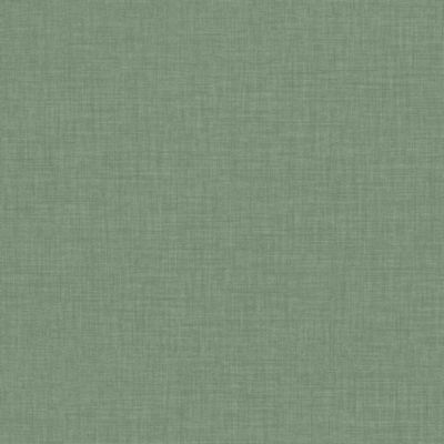 Papier peint vinyle intissé uni structuré vert L.1000 x l.52 cm, GoodHome Shung
