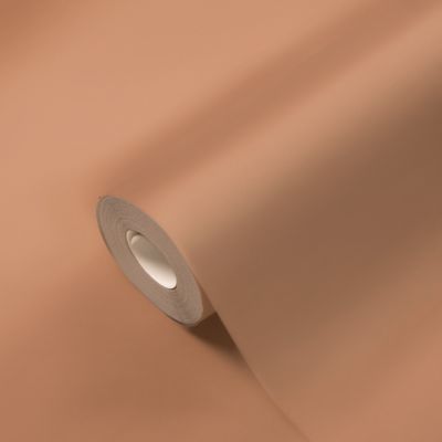 Papier peint vinyle intissé uni terracotta L.53 x l.1005 cm GoodHome Aune