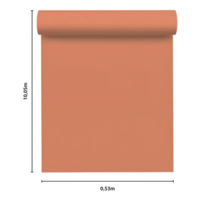 Papier peint vinyle intissé uni terracotta L.53 x l.1005 cm GoodHome Aune