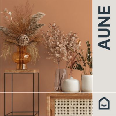 Papier peint vinyle intissé uni terracotta L.53 x l.1005 cm GoodHome Aune