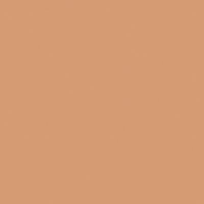 Papier peint vinyle intissé uni terracotta L.53 x l.1005 cm GoodHome Aune