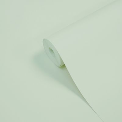 Papier peint vinyle intissé uni vert L.1005 x l.53 cm GoodHome Aune