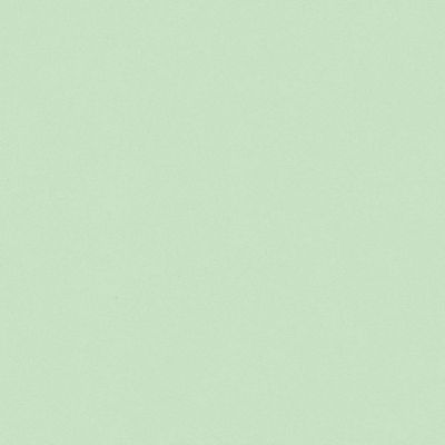 Papier peint vinyle intissé uni vert L.1005 x l.53 cm GoodHome Aune