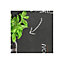 Papier peint vinyle Plantes aromatiques noir vert