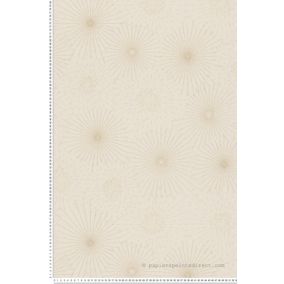 Papier peint vinyle sur intissé Contemporain L.10.05 x l.0.53 m.  - Réf. AS-388183