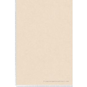 Papier peint vinyle sur intissé Trompe l'oeil L.10.05 x l.0.53 m.  - Réf. SP15508