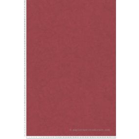 Papier peint vinyle sur intissé Trompe l'oeil L.10.05 x l.0.53 m.  - Réf. SP15510