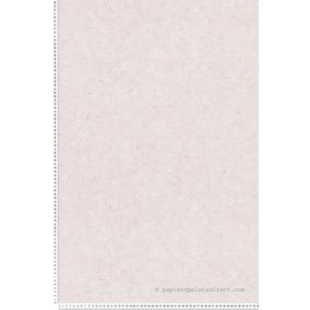 Papier peint vinyle sur intissé Trompe l'oeil L.10.05 x l.0.53 m.  - Réf. SP15512